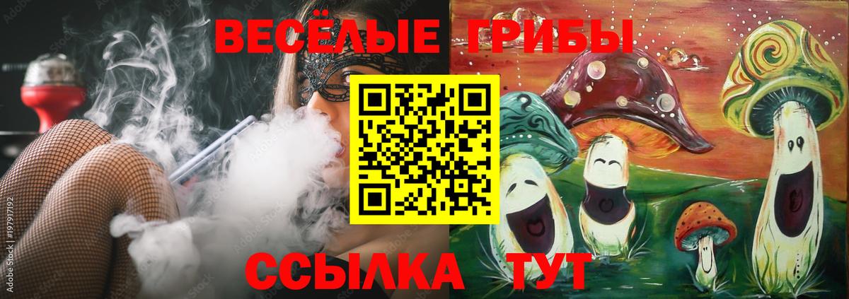 Псилоцибиновые грибы Cubensis Трёхгорный