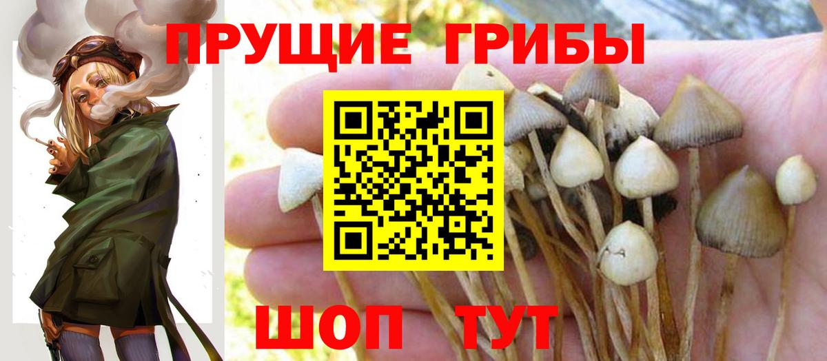 Галлюциногенные грибы мухоморы  Галлюциногенные грибы Psilocybe  купить наркотик  Трёхгорный  Вход с VPN 